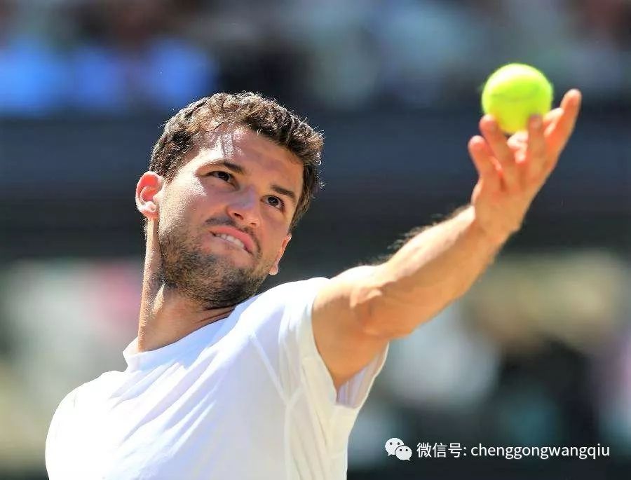 帕尔默的领 帕尔默的领